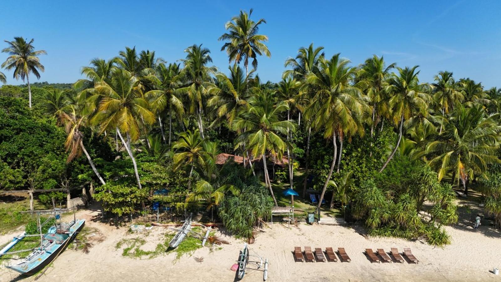 Esperanza Beach Mawella Tangalle Exteriér fotografie