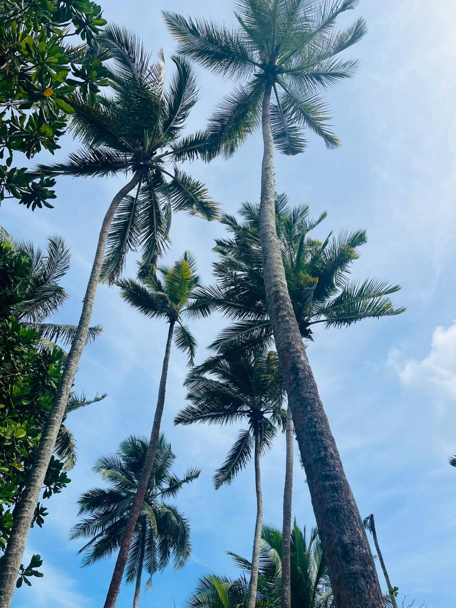Esperanza Beach Mawella Tangalle Exteriér fotografie